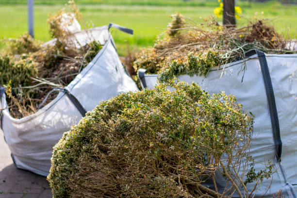 Best Basement Cleanout Services  in Anahola, HI